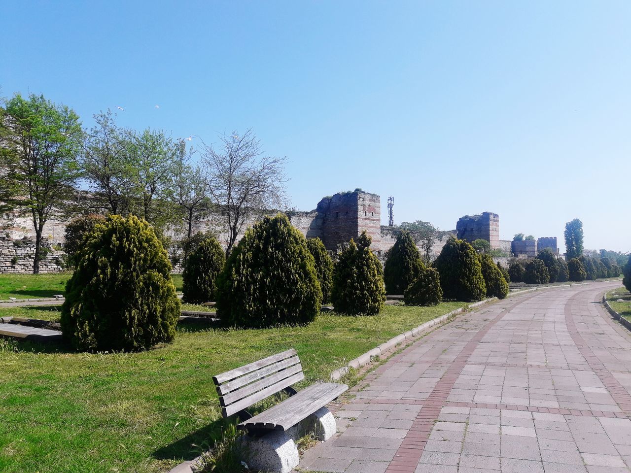 tree, plant, sky, architecture, clear sky, nature, built structure, building exterior, day, park, copy space, no people, bench, footpath, city, park - man made space, outdoors, sunlight, growth, grass, park bench