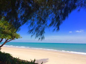 Scenic view of beach against blue sky