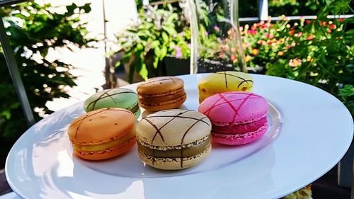 Close-up of cupcakes on table