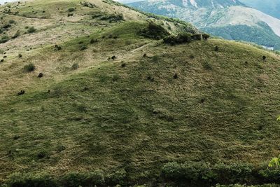 Scenic view of land