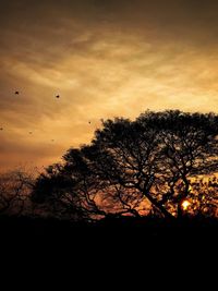 Low angle view of silhouette trees against sky during sunset