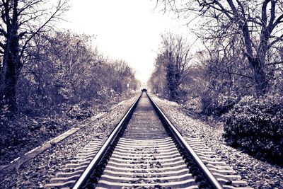 Railroad tracks amidst trees against sky