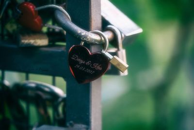 Close-up of padlocks on railing