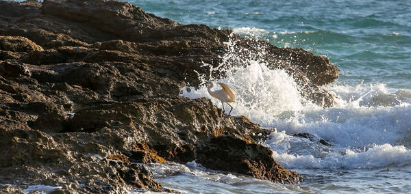 Waves splashing on rocks at shore