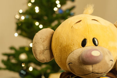 Close-up of illuminated christmas tree