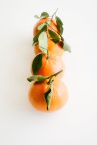 Close-up of orange fruit against white background