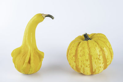 Close-up of pumpkins against white background