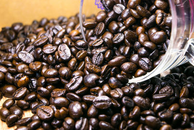 Close-up of coffee beans