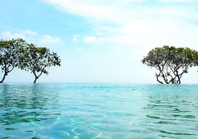 Scenic view of sea against sky