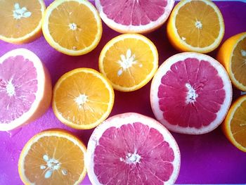 Close-up of multi colored fruits