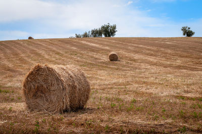 Hay bales on field against sky