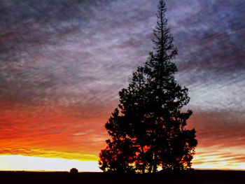 Silhouette of trees against cloudy sky