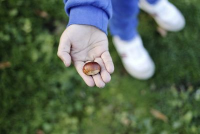 Low section of child holding ice cream