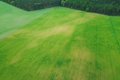 Scenic view of grassy field