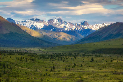 Scenic view of field and mountains against sky