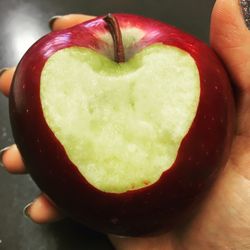 Close-up of hand holding apple