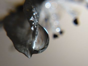 Close-up of water