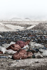 Garbage on snow covered land against sky