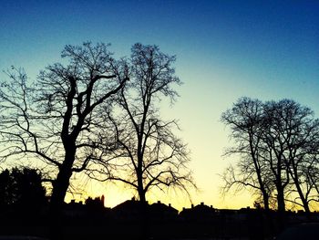 Low angle view of silhouette bare trees against sky at sunset