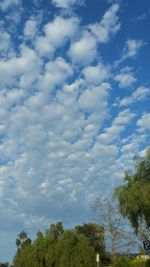 Low angle view of trees against cloudy sky