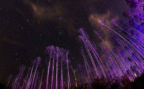 Low angle view of firework display