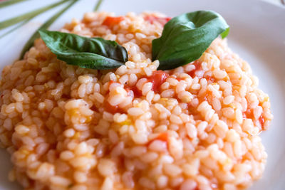 Close-up of food in plate