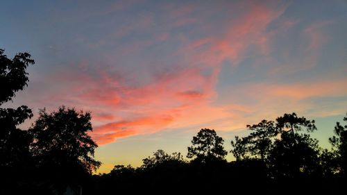 Silhouette of trees at sunset