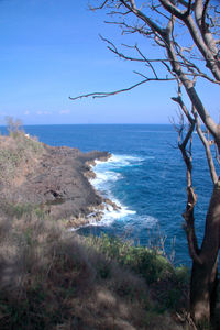 Scenic view of sea against clear blue sky