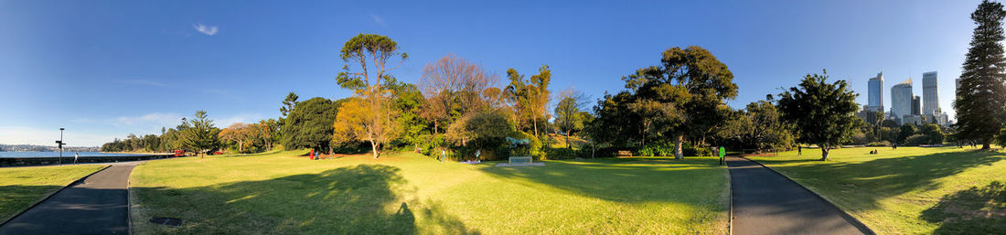 Panoramic view of trees on landscape against sky