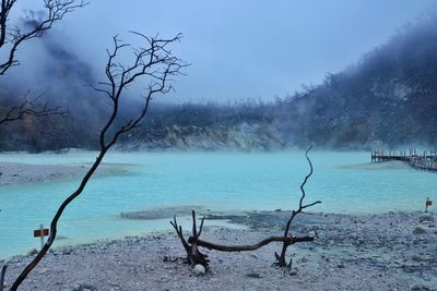 Bare trees at white crater against sky