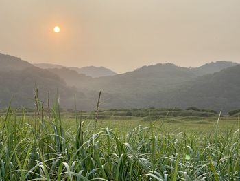Scenic view of field against sky during sunset