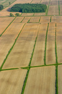 High angle view of agricultural field