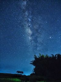 Low angle view of trees against sky at night