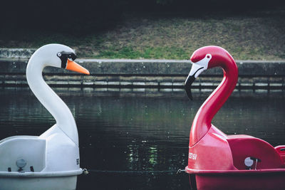 Swan shape pedal boats at lake