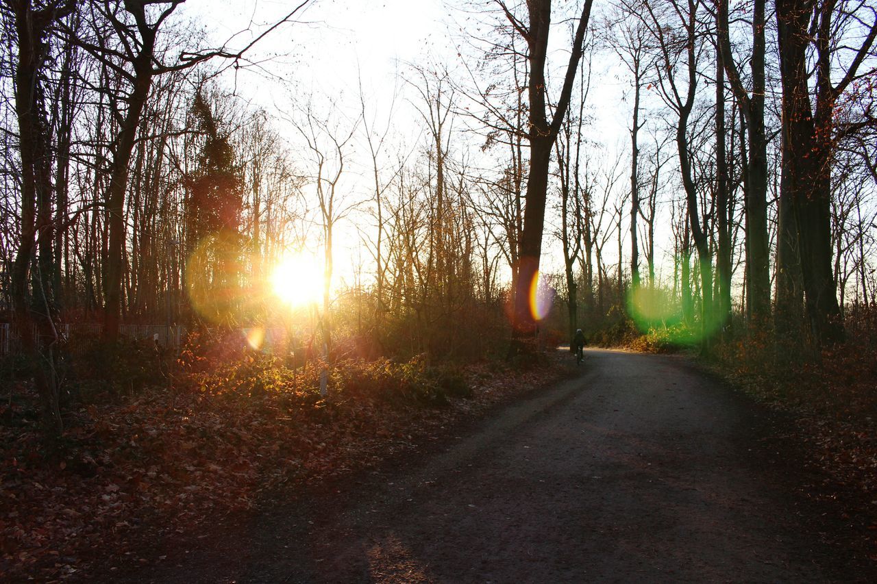 tree, sunlight, transportation, sun, the way forward, nature, sunset, road, car, no people, sky, outdoors, beauty in nature, scenics, sunbeam, day