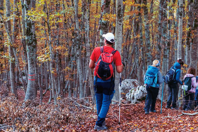 Rear view of people standing in forest