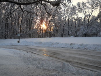 Bare trees on snow covered landscape