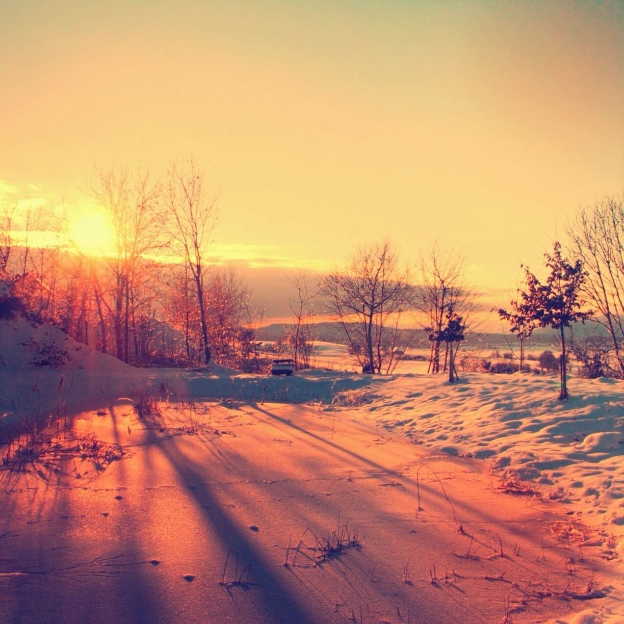 sunset, snow, winter, cold temperature, sun, tranquil scene, bare tree, tranquility, scenics, beauty in nature, tree, orange color, season, nature, landscape, clear sky, sunlight, field, idyllic, sky