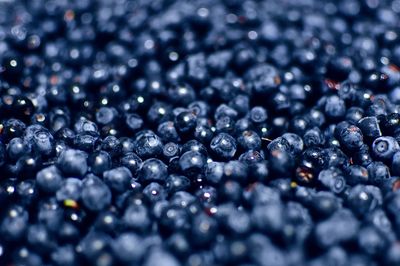 Full frame shot of blueberries