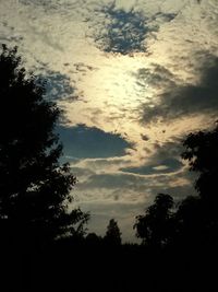 Silhouette of trees at sunset