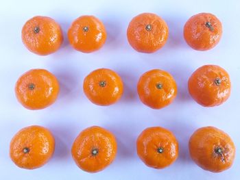 Directly above shot of orange fruits against white background
