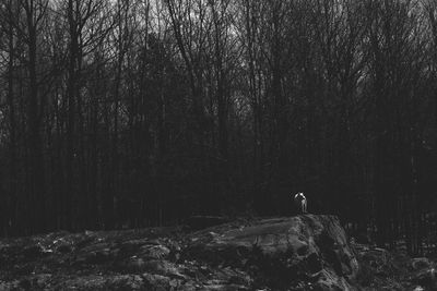 Person standing by tree in forest