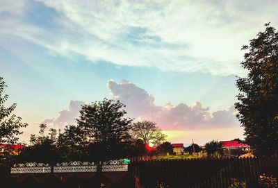 Silhouette of trees at sunset