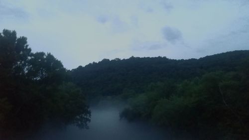 Scenic view of forest against sky