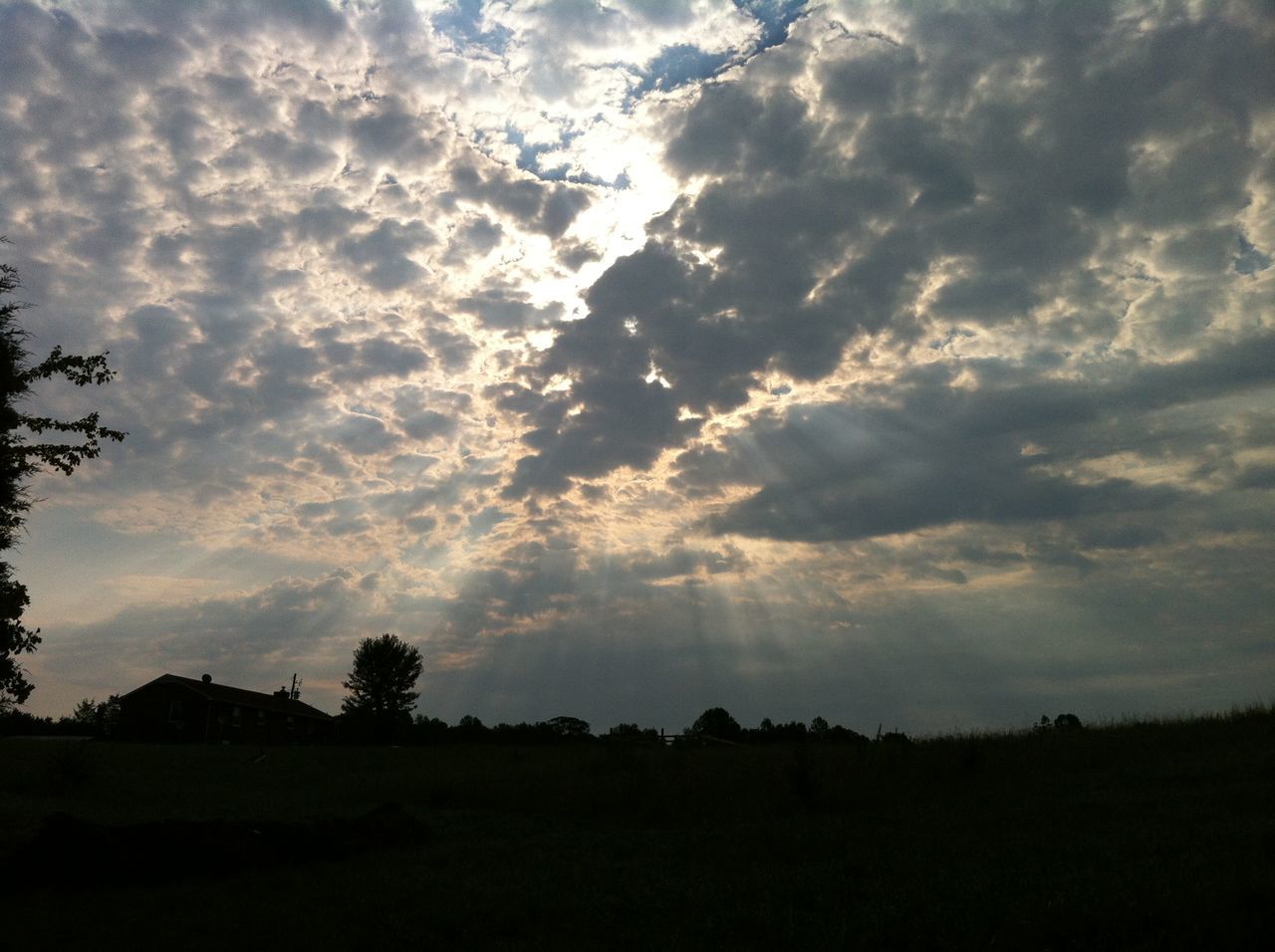 SILHOUETTE OF LANDSCAPE AT SUNSET