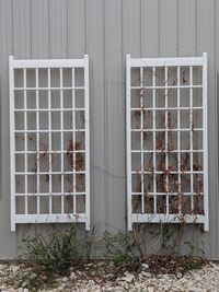 Closed door of building