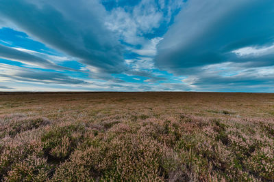 Skyline over north yorkshire moors 