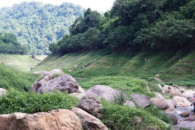 View of rocks on land
