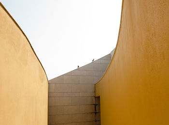 Low angle view of birds perching on wall against clear sky