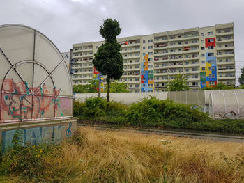 Plants growing on field by buildings against sky